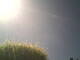 Burgstetten 30.04.2025 16:08