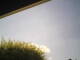 Burgstetten 24.06.2025 16:07