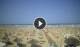 Rimini 09.06.2025 16:08