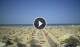 Rimini 14.06.2025 16:08