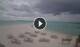 Île de Kuredu (Atoll de Lhaviyani) 03.07.2025 16:08