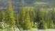 Zakopane 29.04.2025 16:09