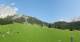 Ehrwald 08.06.2025 16:10