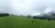 Ehrwald 03.07.2025 16:09