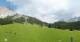 Ehrwald 14.06.2025 16:09