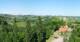 Glanz an der Weinstraße 23.05.2025 16:10