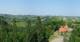 Glanz an der Weinstraße 08.06.2025 16:10