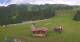 Rohrberg 11.07.2025 16:10