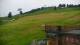 Zieleniec 08.06.2025 16:10