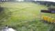 Zieleniec 08.06.2025 16:10