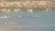 Balaruc-les-Bains 30.04.2025 16:11