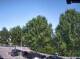 Julianadorp 10.05.2025 16:11