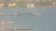 Balaruc-les-Bains 30.06.2025 16:11