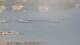 Balaruc-les-Bains 08.06.2025 16:11