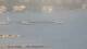 Balaruc-les-Bains 14.06.2025 16:11
