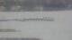Balaruc-les-Bains 29.04.2025 16:11