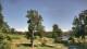 Davidsonville, Maryland 11.07.2025 16:32