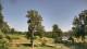 Davidsonville, Maryland 03.07.2025 16:32