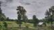 Davidsonville, Maryland 20.05.2025 16:32