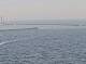 AIDAmar 30.04.2025 16:12