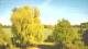 Mandelsloh 30.04.2025 16:12