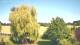 Mandelsloh 11.06.2025 16:12