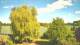 Mandelsloh 17.04.2025 16:12