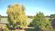 Mandelsloh 10.05.2025 16:12