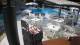 Bellaria-Igea Marina 08.06.2025 16:48