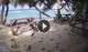 Anse Parnel (Mahé) 08.06.2025 16:13