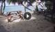 Anse Parnel (Mahé) 15.06.2025 16:13