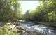 Caledonia 14.06.2025 16:31