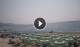 Marina di Zambrone 14.06.2025 16:13