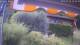 Bad Harzburg 14.07.2025 16:49