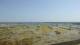 Penmarch 14.07.2025 16:24