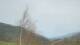 Saint-Pierre-dels-Forcats 30.04.2025 16:14