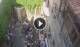 Verona 06.07.2025 16:16