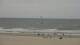 Scheveningen 05.07.2025 16:16