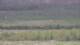 Les Landes-Genusson 08.05.2025 16:16