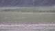 Les Landes-Genusson 16.03.2025 16:17