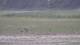 Les Landes-Genusson 08.05.2025 16:16