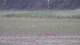 Les Landes-Genusson 11.05.2025 16:16