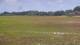 Les Landes-Genusson 14.07.2025 16:25