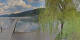 Annenheim 29.04.2025 16:59