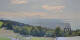 Bregenz 10.07.2025 16:03