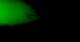 Viking Orion 20.03.2025 16:17