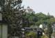 Augustusburg 30.04.2025 16:48