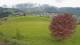Abtenau 25.04.2025 16:17