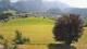 Abtenau 14.06.2025 16:17