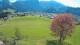 Abtenau 29.04.2025 16:17